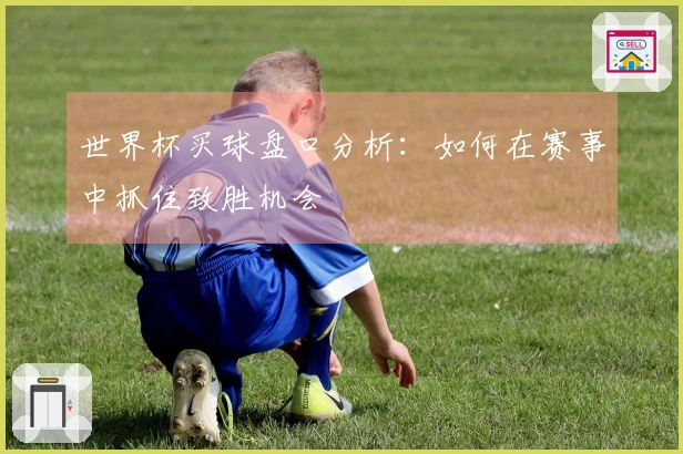 世界杯买球盘口分析：如何在赛事中抓住致胜机会