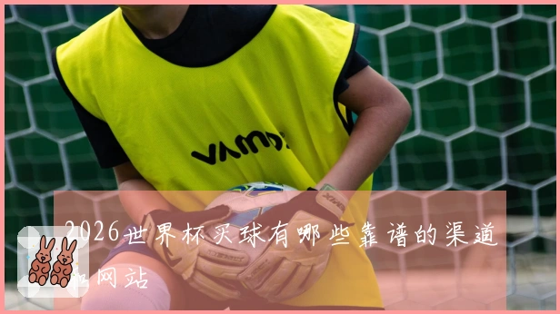 2026世界杯买球有哪些靠谱的渠道和网站